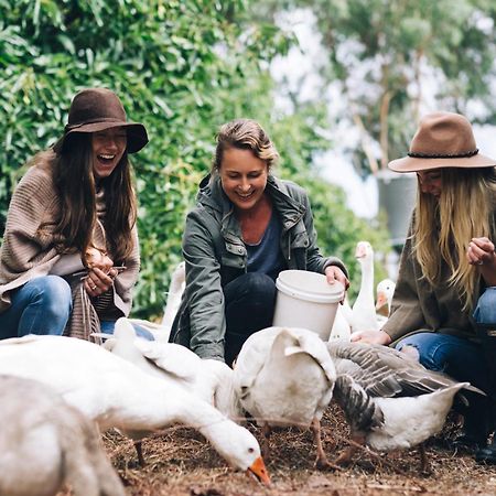 Burnside Organic Farm Villa Margaret River Екстериор снимка